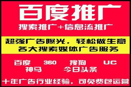 某公司通过竞价SEM优化搜索引擎排名案例